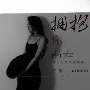 拥抱你离去(我的心在慢慢枯萎) (DJ九零版)