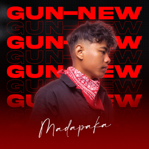 Gun-New