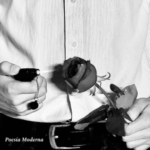 Poesía Moderna