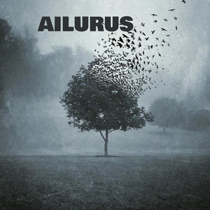Ailurus