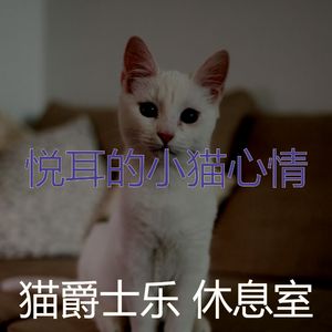 温和睡猫梦想