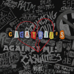 Cicatrizes