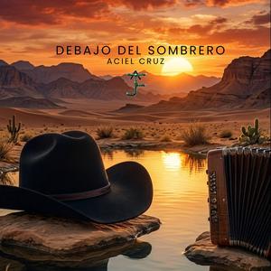 Debajo del Sombrero