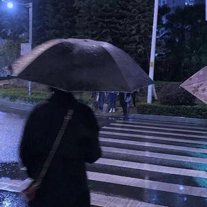 小城夜雨