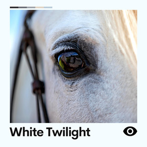 Night White Noise, Pt. 15