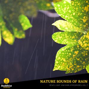 Immoderate Spring Rain