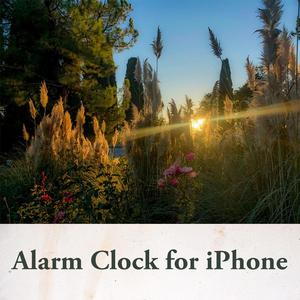 Alarm clock for iPhone (light)