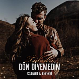 Dön Diyemedim (Slowed & Reverb)