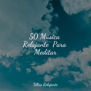 Viaje Al País De Los Sueños