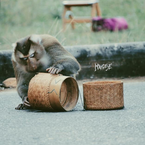 ช่างมัน