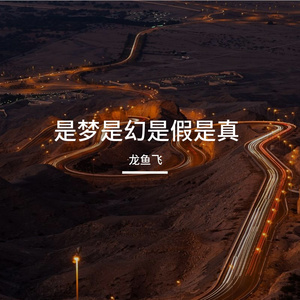 是梦是幻是假是真