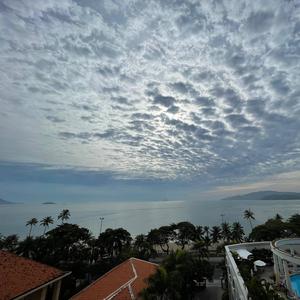 Mùa hạ ngược chiều