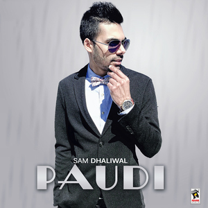 Paudi