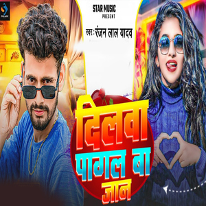 Dilwa Pagal Ba
