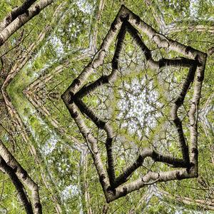 Breaking down walls of fear and mistrust