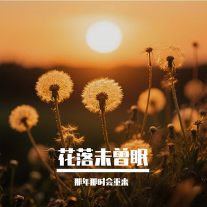 花落未曾眠