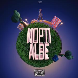 Nopti Albe (feat. NDG & SECHO)