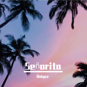 Señorita（翻自 Shawn Mendes）