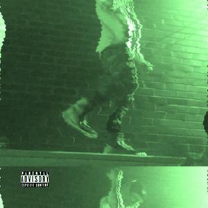 Mitch's Golden Goose Freestyle