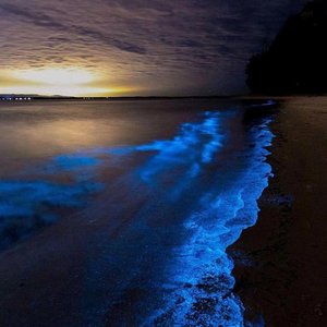 如意如意（爱我心意）