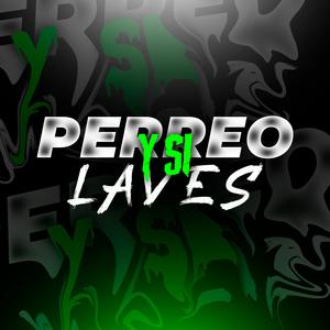 PERREO Y SI LA VES (feat. Gonza Reyes) (Axel DJ Remix)