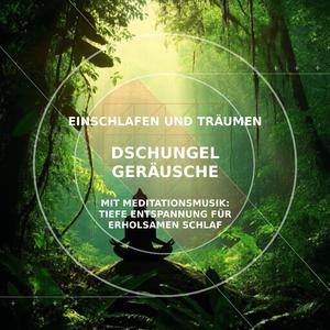 Das Herz des Urwalds: Beruhigende Klänge zum Einschlafen