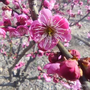 我身上有一个不可战胜夏天