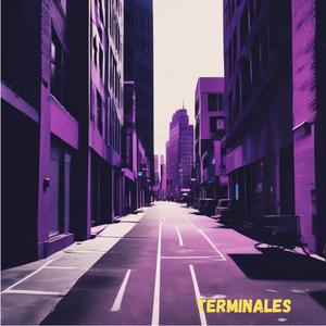 terminales