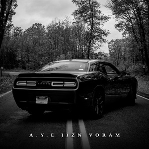 A.Y.E Jizn Voram (Remix)