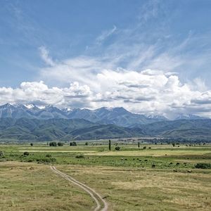 [FREE] "山巅" // 民族 x Gunna Type Beat