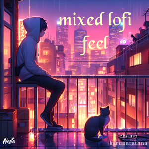 mixed lofi feel