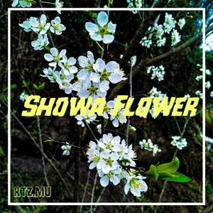 Showa Flower
