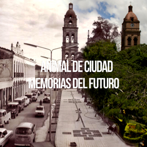 El Trasnochador