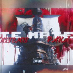 TE MATEE (feat. Altemisjc)