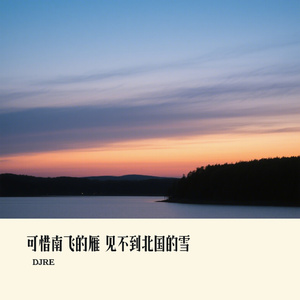 可惜南飞的雁 见不到北国的雪