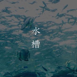 水槽