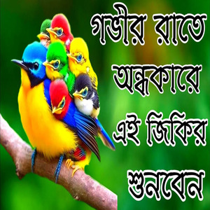 গভীর রাতে এই জিকির শুনেন নবীজির প্রেমের জিকির নতুন রিলিক্স জিকির