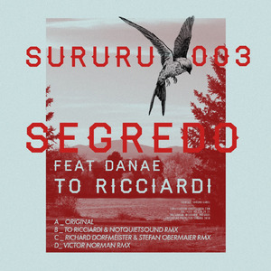 Segredo (To Ricciardi & Notquietsound RMX)