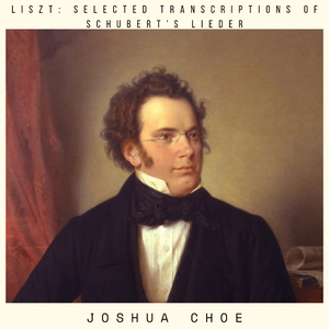 6 Melodien von Franz Schubert, S. 563 (Arr. for String Orchestra): 4. Trockne Blumen