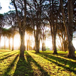 一万个对不起 (烟嗓版)