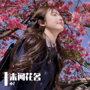 九月橙-未闻花名（小7 remix）