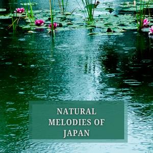 Piano Rain over Tanzawa Mountains