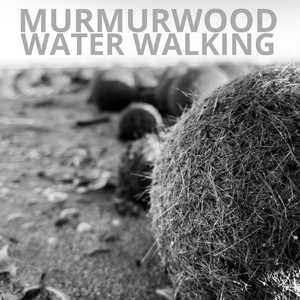Water walking