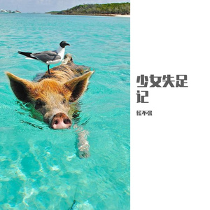 少女失足记