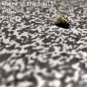 宇宙最远的地方 Vol.2：他们的灵魂在哪里？