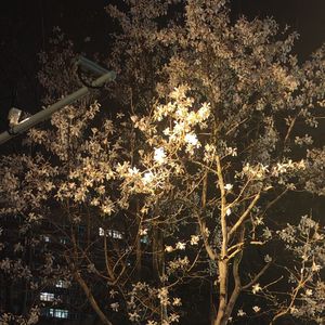 time machine（钢琴翻弹）