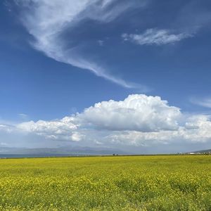 季节变换间的思念