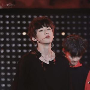 兰花草（宋亚轩版）（翻自 李斯丹妮/艾菲）（翻自 宋亚轩）