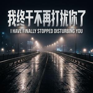 我终于不再打扰你了