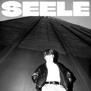 SEELE (feat. AMIE)